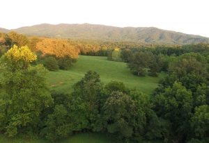 Monroe: Gorgeous Farmland